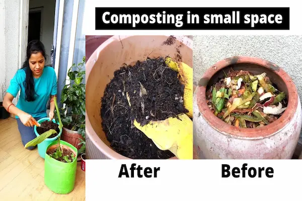 How to Compost at Home: Small Yards and Balconies