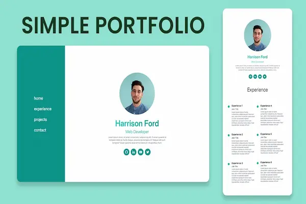Portfolio Website Basics for Beginners